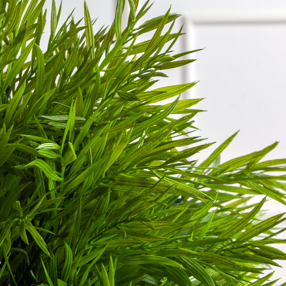 КС129(з)(F) Погонатерум в кашпо d23см_1