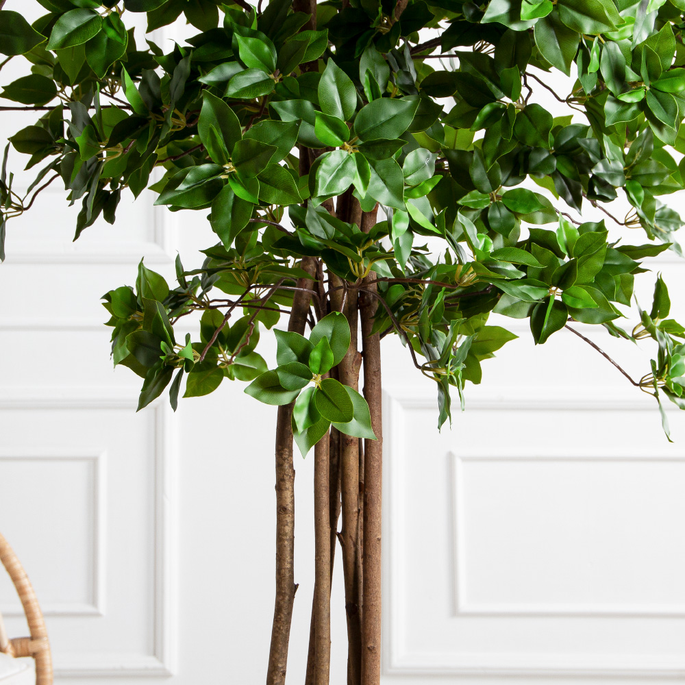 190/РН/ОК/703(Пр)(F) Дерево искусственное лиственное h190см,(латекс)_6