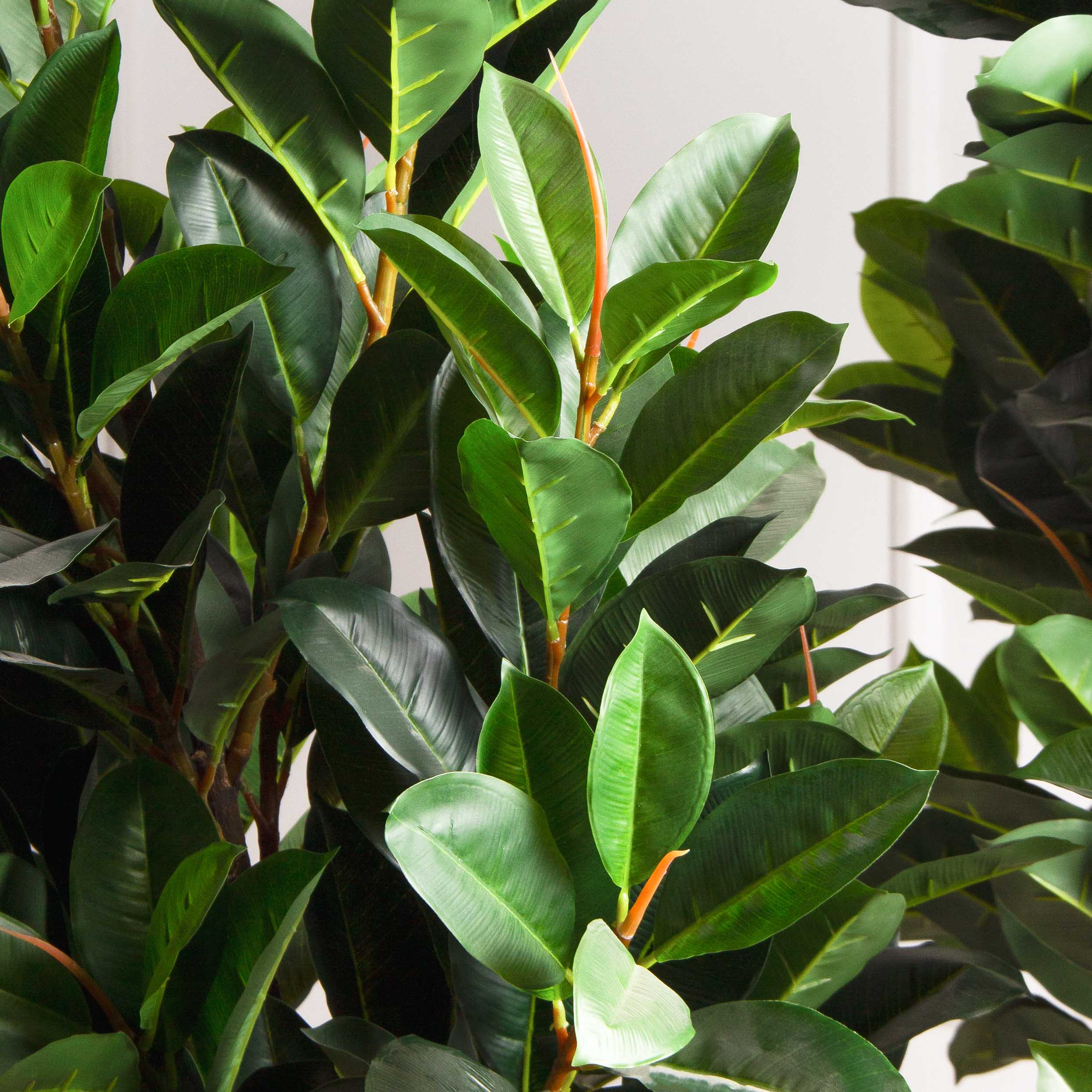 240/К/418(з)(Пр)(F) Фикус искусственный Эластика  h240см, латекс_3