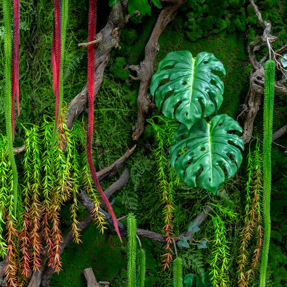 Фитостена 88 Рельеф с тропич.растениями_3