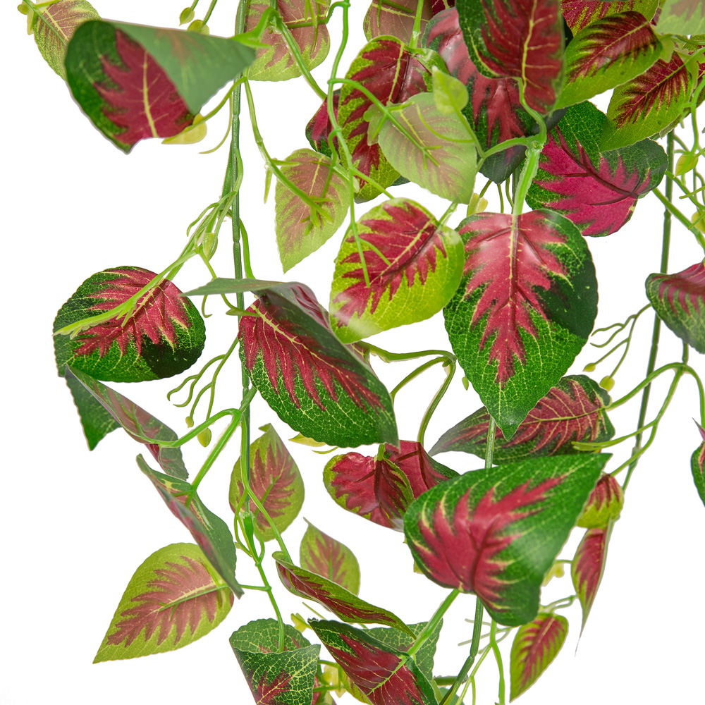 7144/0046-5Р Плющ Колеос (латекс)(красн./золот.)_5