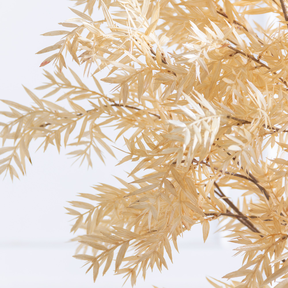 200/РН/488(з)(F) Альбиция  искусственная интерьерная h200см_2