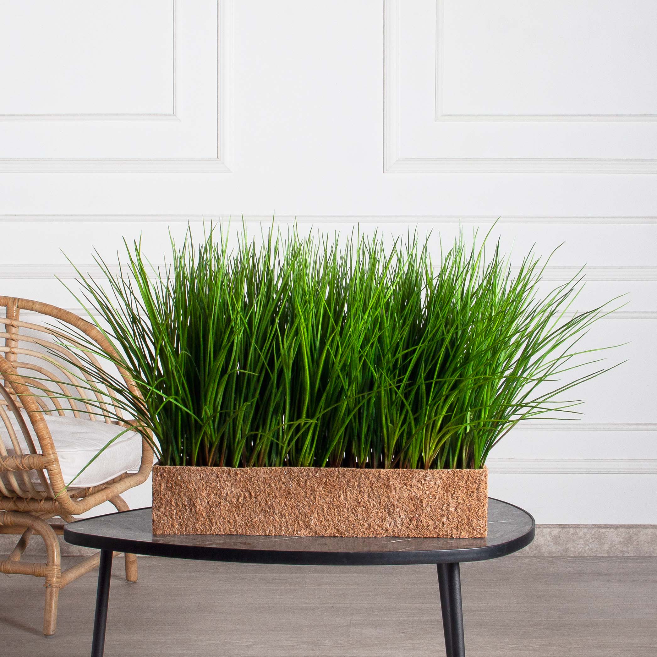 ТД078-1(F) Трава Осока искусственная h36см в кокосовом боксе 50х10х10см_2