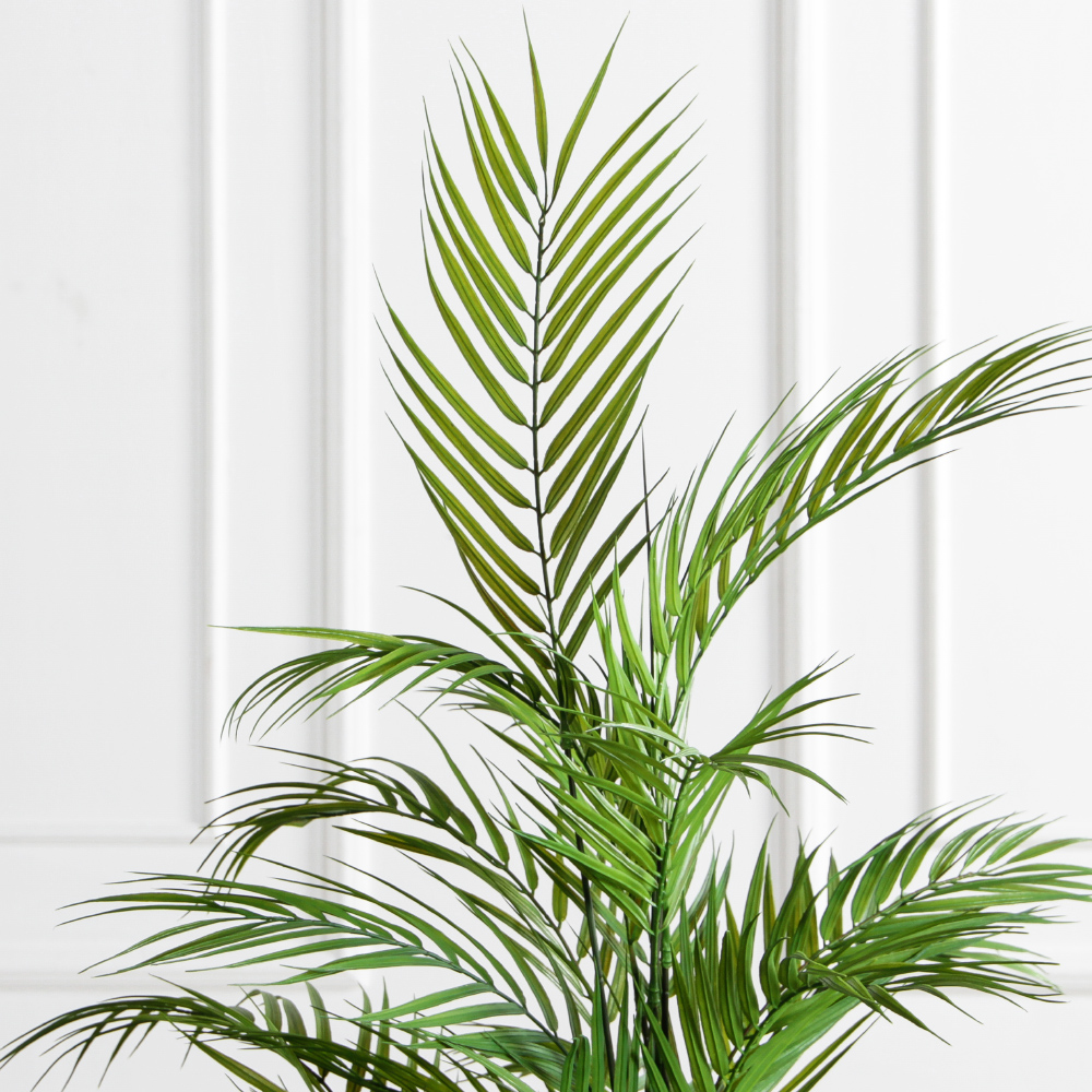 ПК200/5С/359(з)(Пр)(F) Пальма кустовая h200см_3