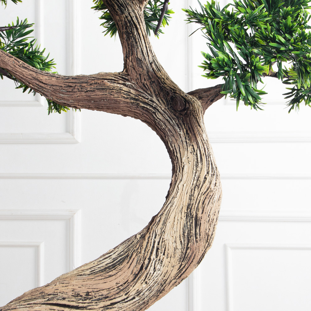 170МЕТ/АСС/241(з)(F) Подокарпус интерьерный h170 d120см_6