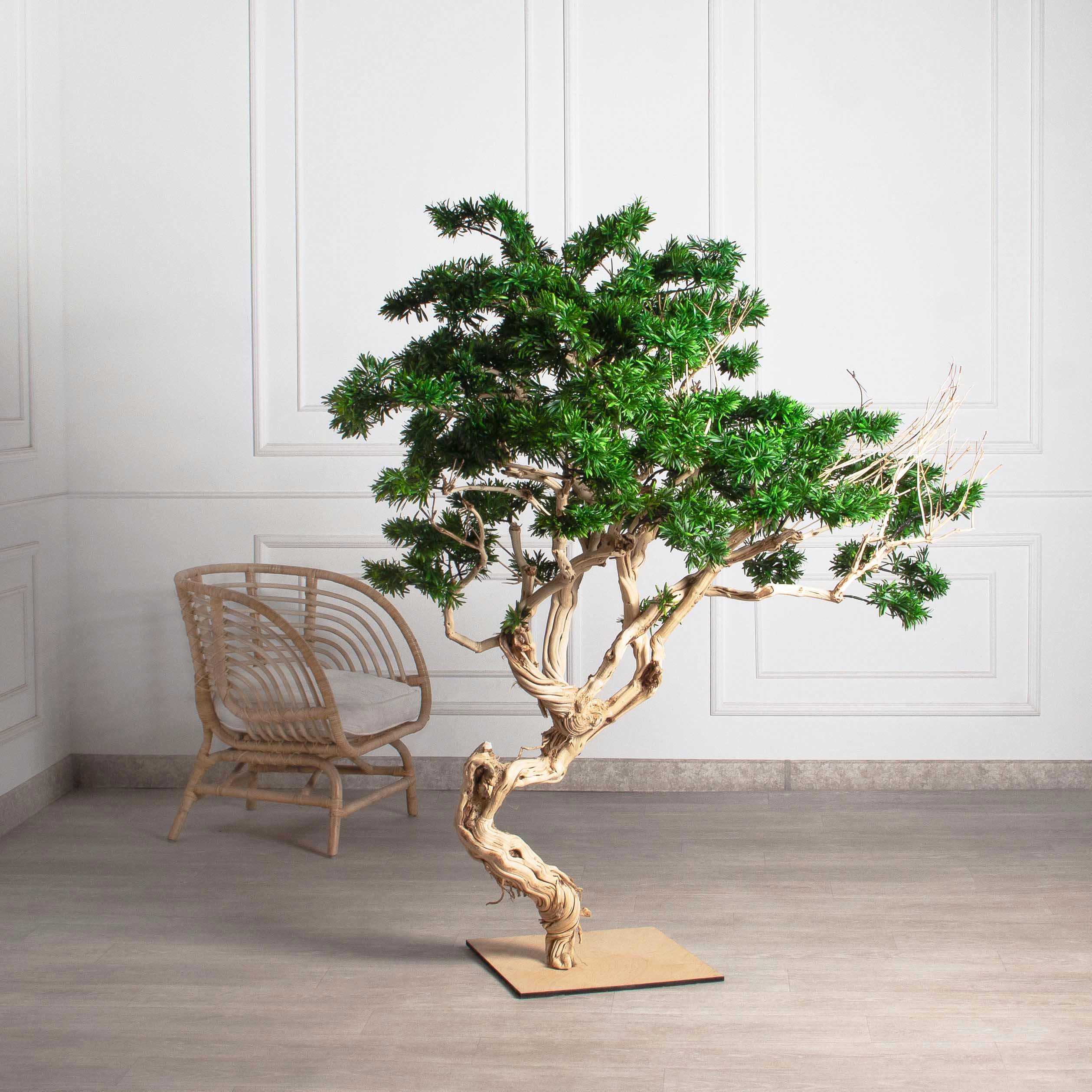 БЛ160/Д3/241(з)(F) Бонсай искусственный Подокарпус h160см d60-100см на основании_2