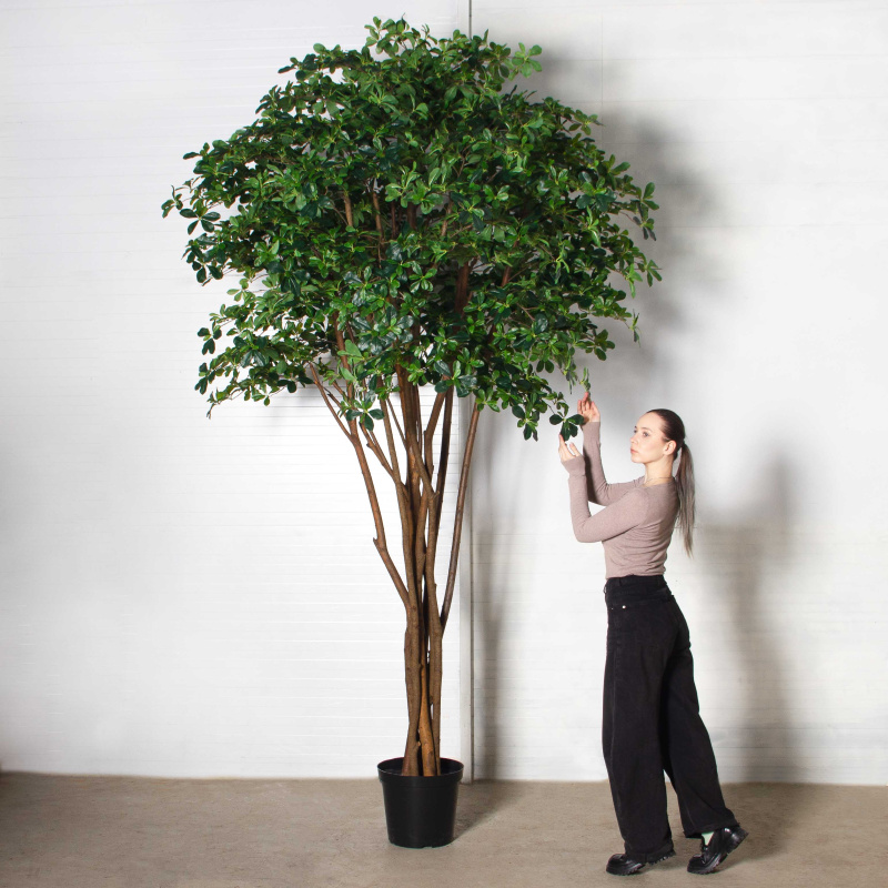 320/РН/84-7(з)(F) Шеффлера искусственная h320см d190см, латекс_1