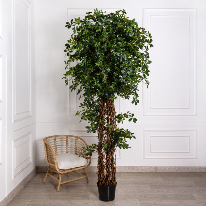 250/ССТ/ПЛ/ВП/84(з) Шеффлера искусственная h250см (латекс)_99