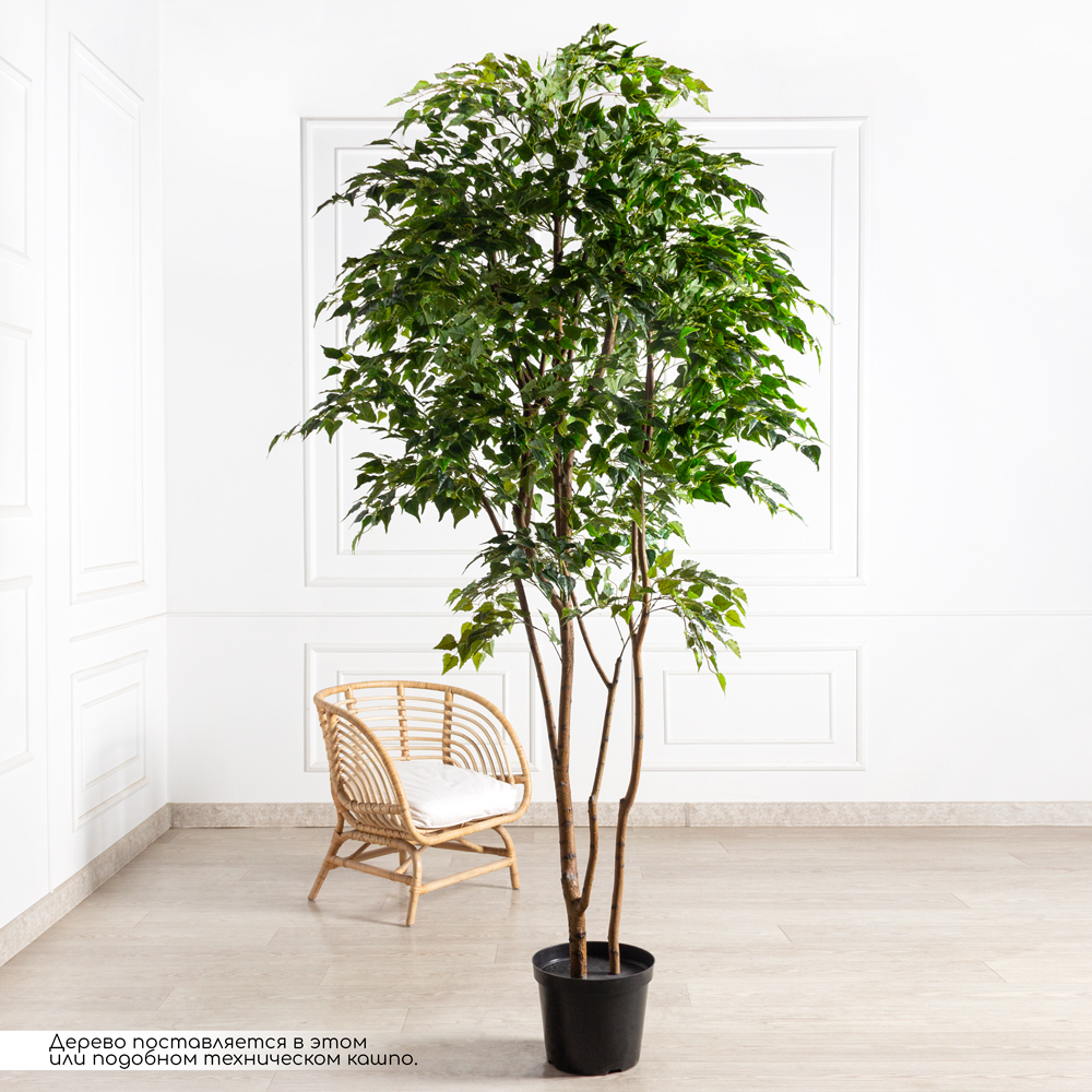 240/РН/12М-4(з)(F) Береза искусственная h240см, 2 ствола(латекс)_1