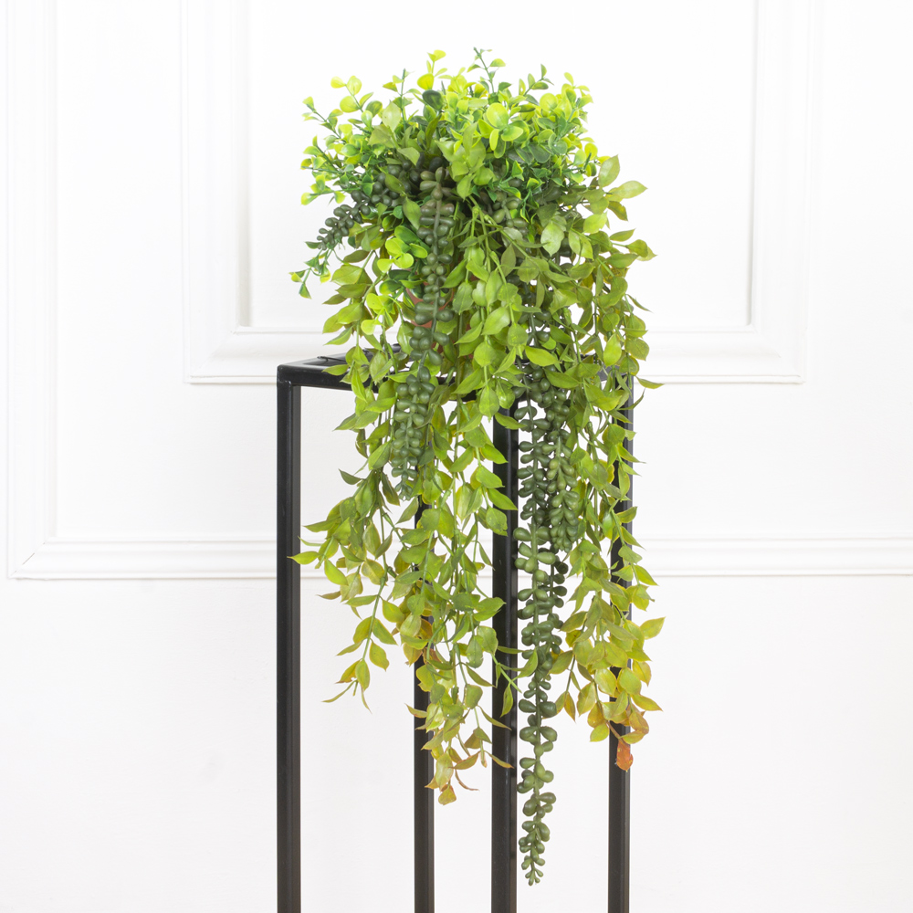 КЗ/03-5(з.) Самшит с ампельными суккулентами h15см в горшке d11см_8