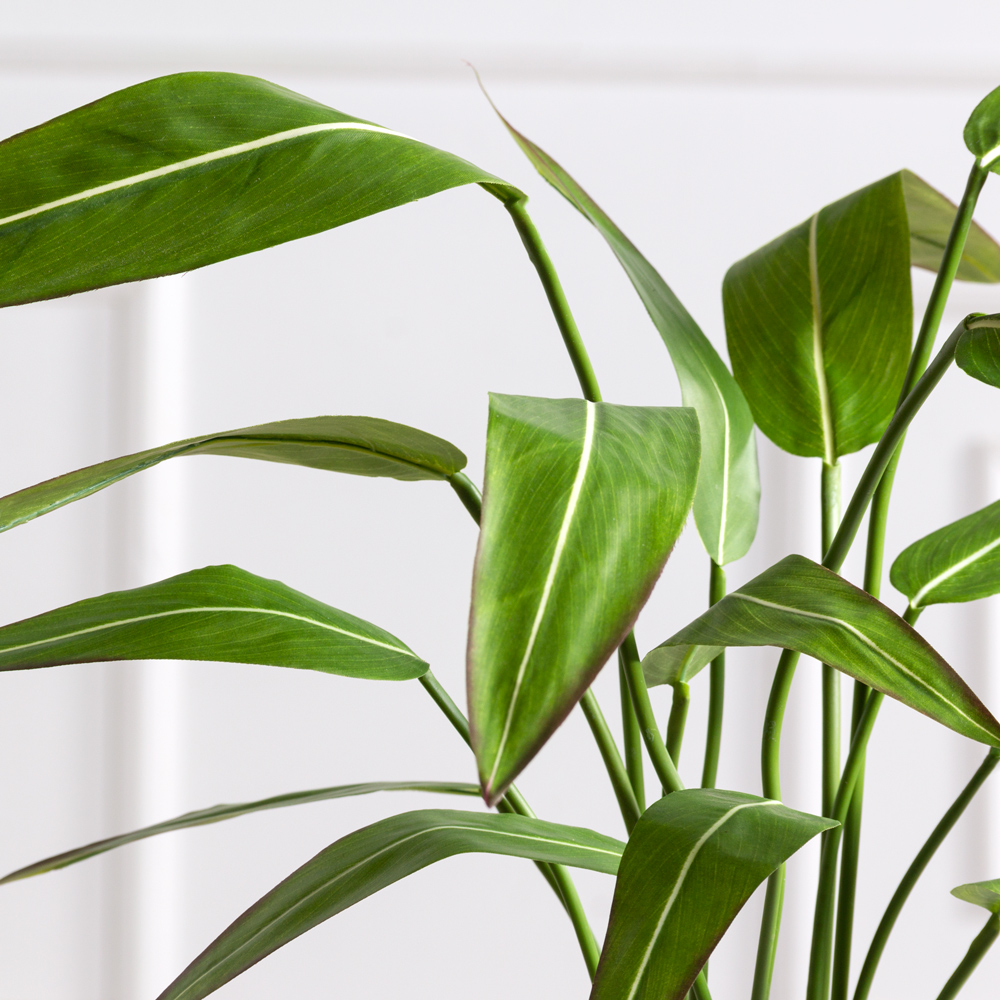 К060*3(F) Стрелиция искусственная куст малый h60см (латекс) в кашпо_1