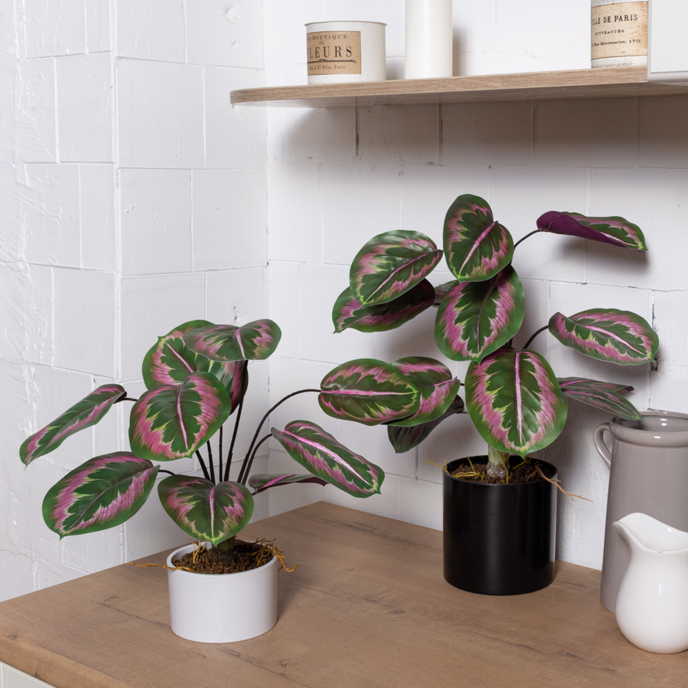 ЦС214(F) Калатея искусственная зелёно-фиолетовая_4