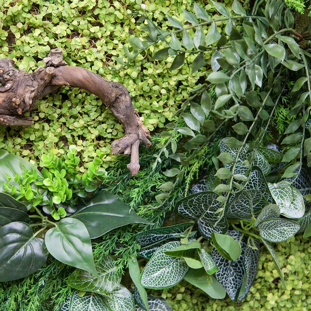 Фитостена 82-1_2