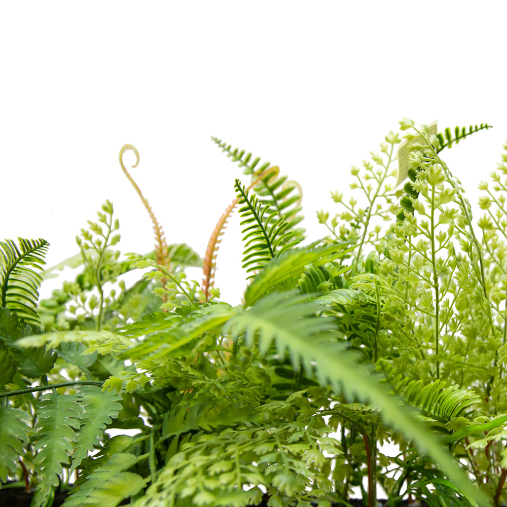 ВМ14(з.) Вставка с ампельными растениями(латекс)150*4*h3_2