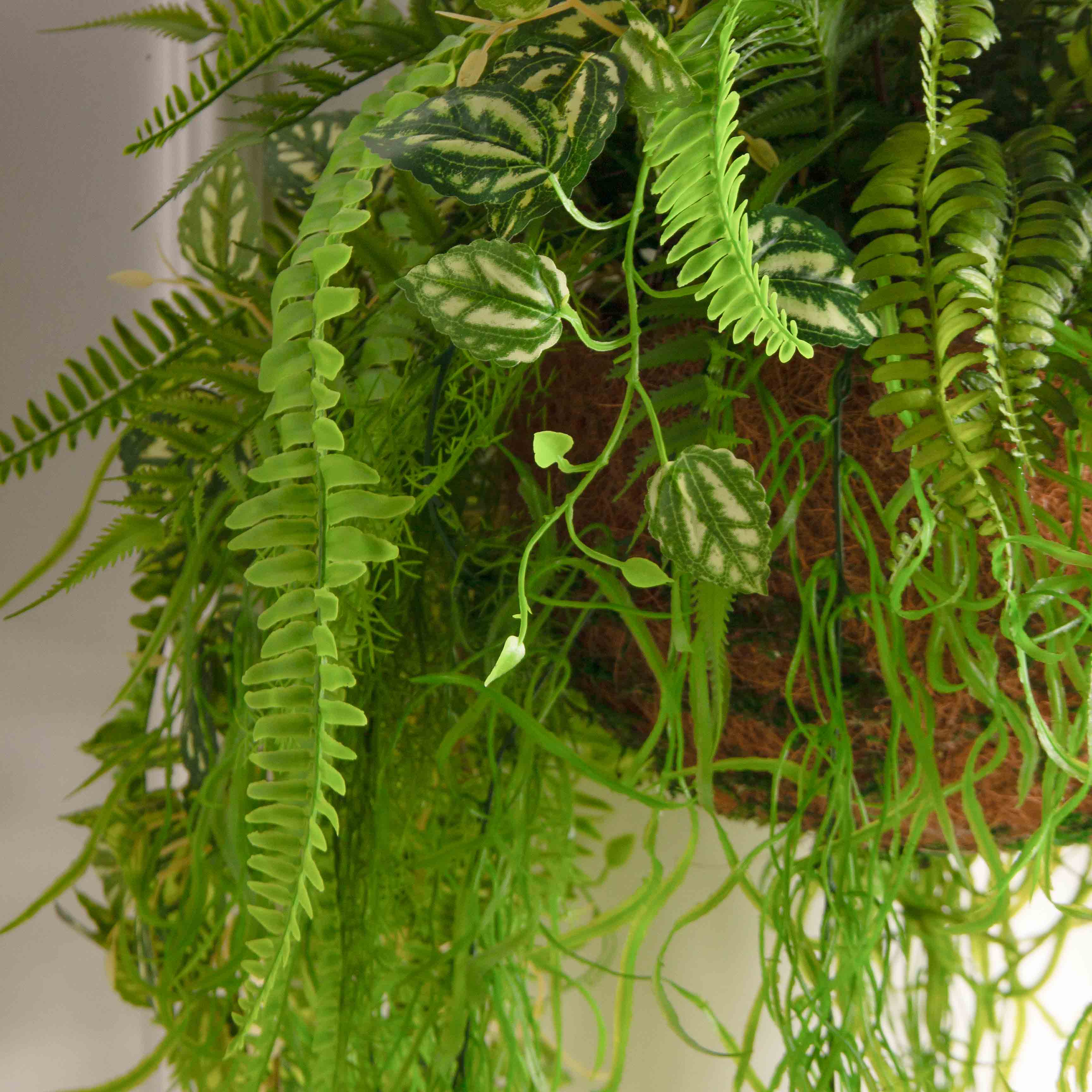 ККВ09 Папоротник искусственный с ампельной пилеей в коковите_4