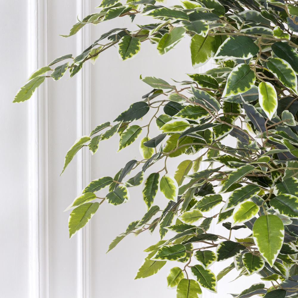 160/17М Фикус Бенджамина искусственный мелкий лист h160см(латекс)_10