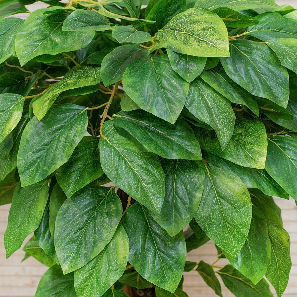 90/ОС/89(З) Магнолия 90см_2