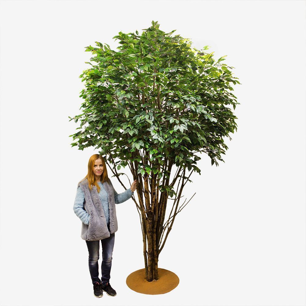 300/РН/34-4(з/УУ) Фикус искусственный h300см (латекс) на основании _1