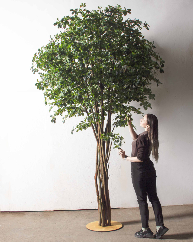 320/РН/84(з)(F) Шеффлера искусственная h320см (латекс)_1