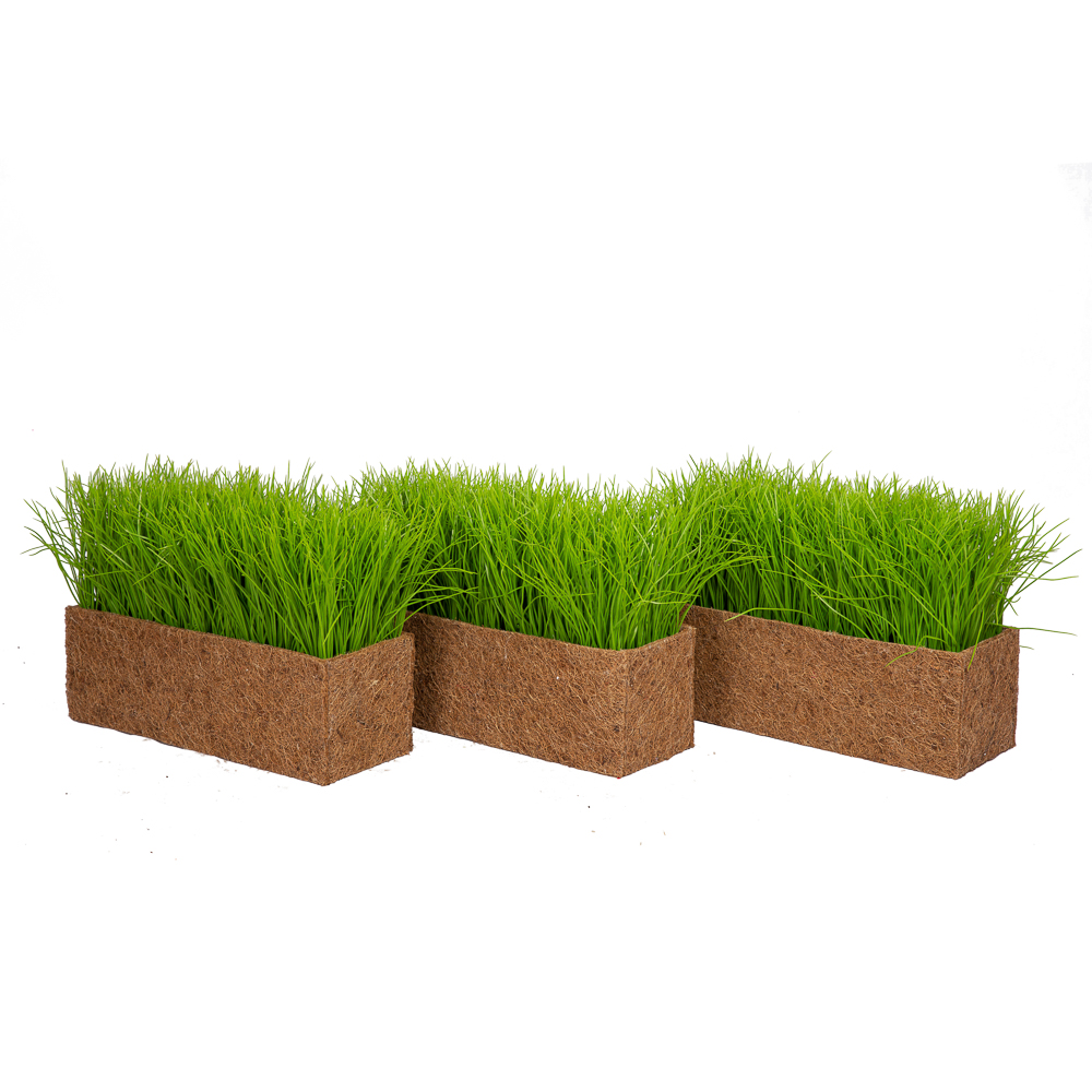 ТД058-25(з.) Трава Осока в кокосовом боксе 44*16*15_10