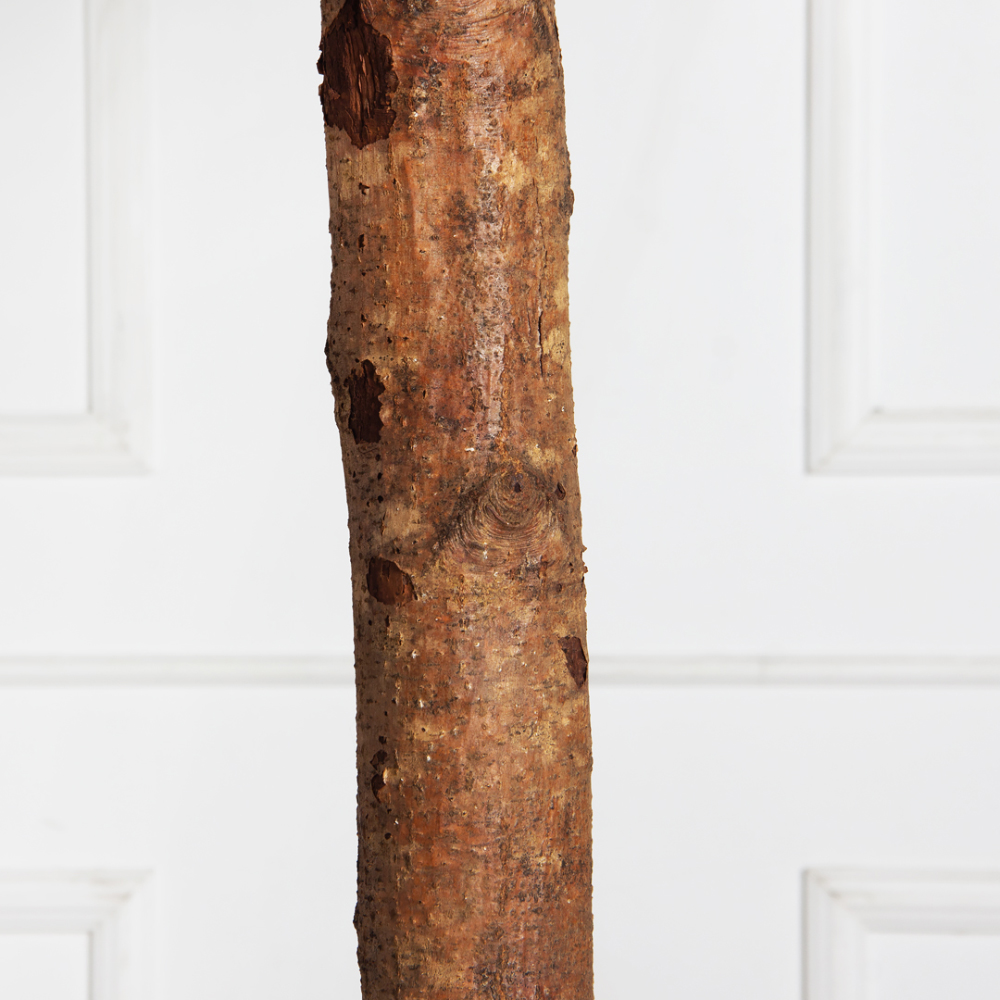 250/ШК/222(F) Дуб искусственный h250см (латекс)_4