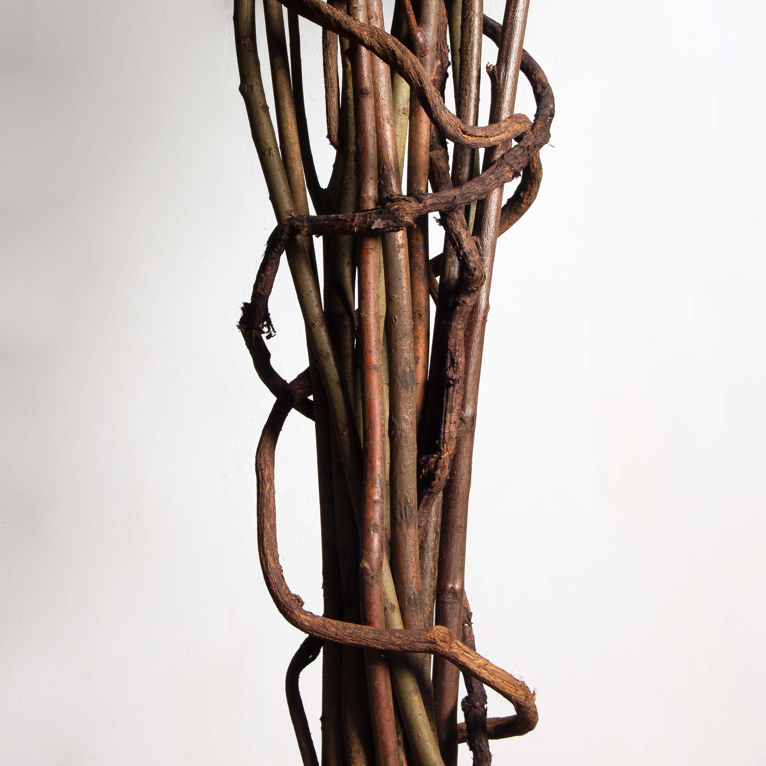 300/РН/Л/34(Пр)(F)Фикус искусственный h300см (латекс) на основании_5