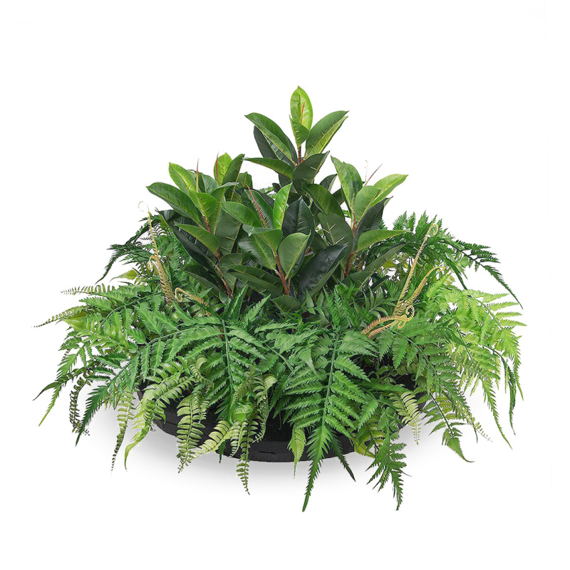 ВМ32(з.) Вставка модуль с папоротником и робустой (с креплением)_1