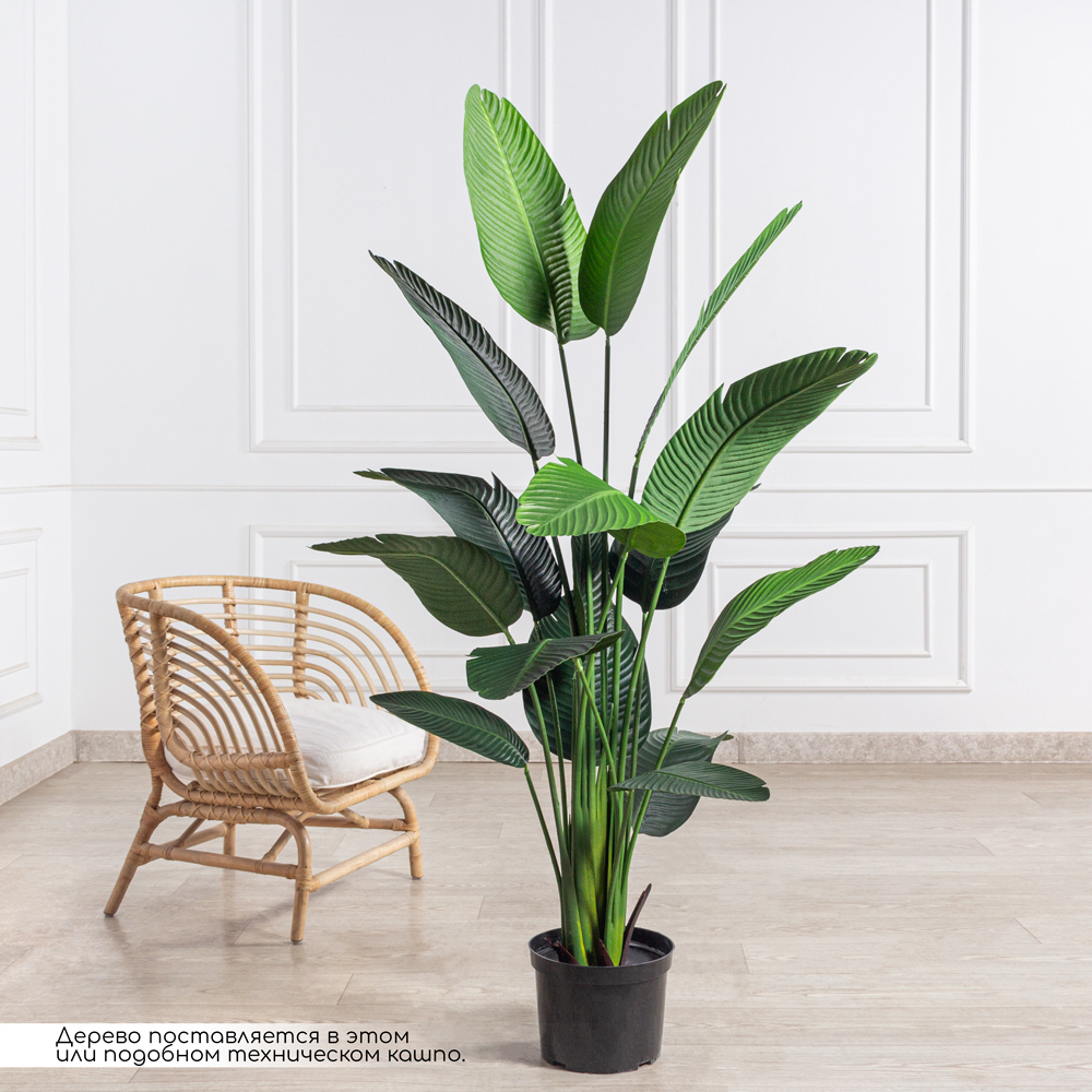 180/К/360(Fix)(F) Стрелиция искусственная h180см в кашпо_1