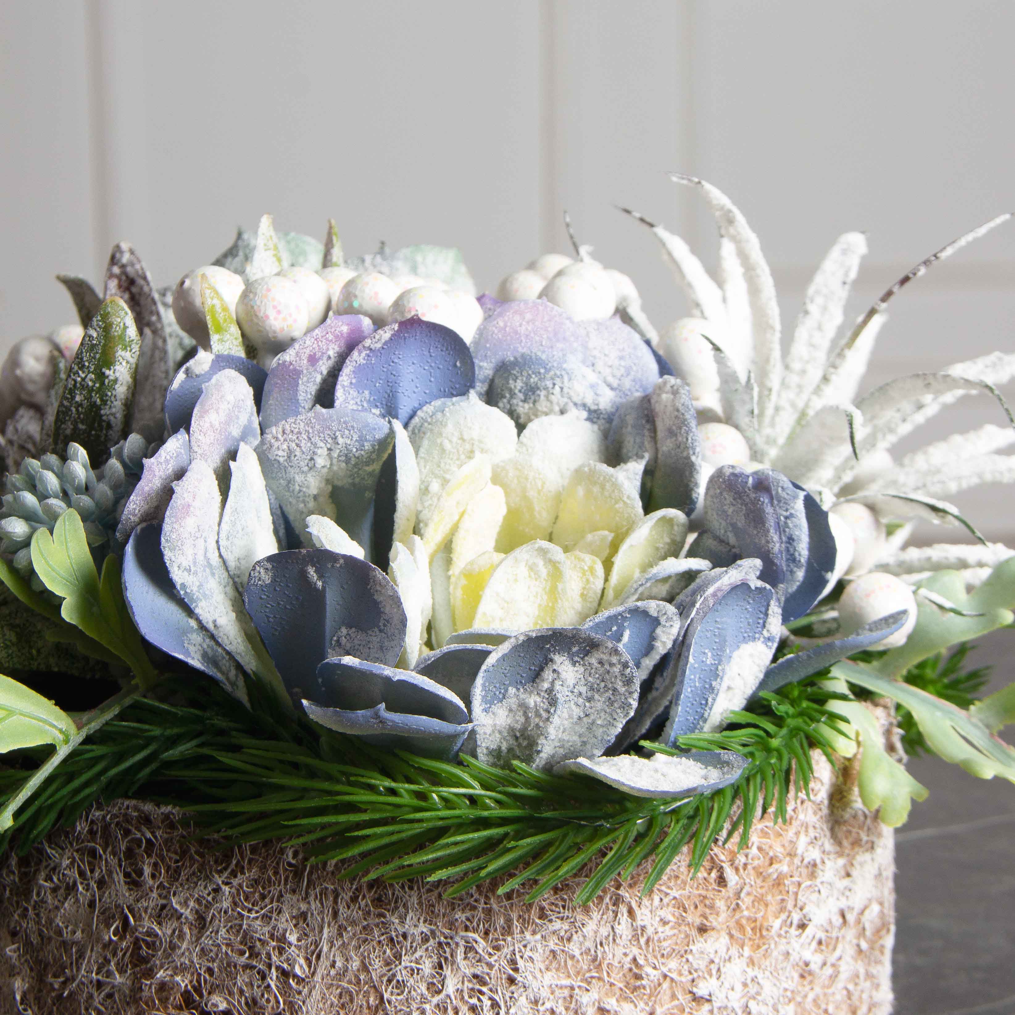 СКК08-1(з)(F) Суккуленты НГ в круглом забеленном кокосовом боксе d20см_7