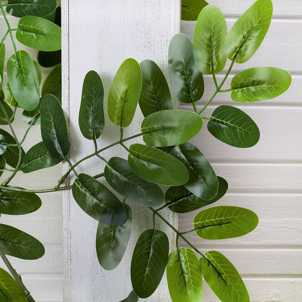 7144/0228-5Р Лиана Акация (крупн.лист)(латекс) 1,7м_2