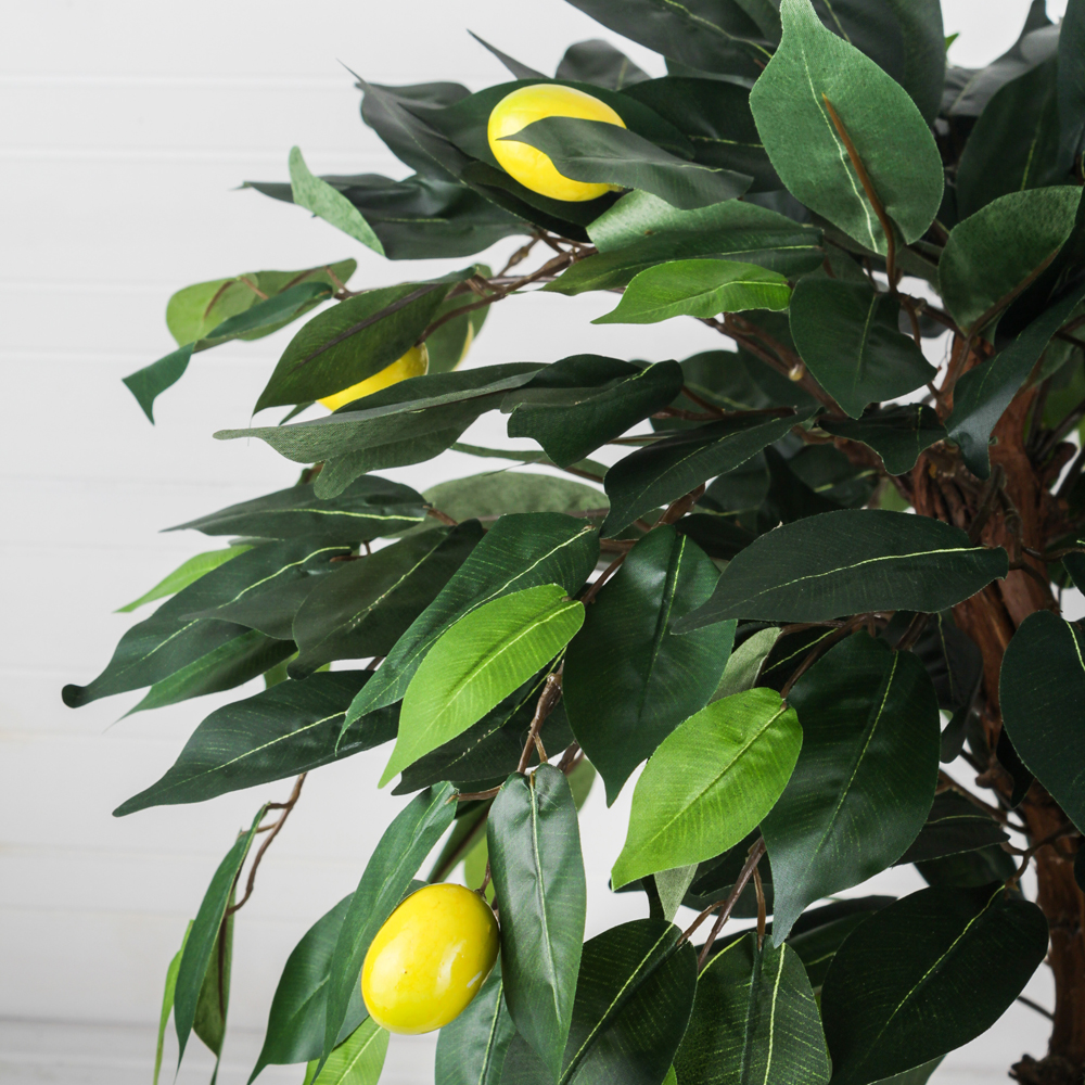 БП 50/13М (п)Бонсай плодовый 