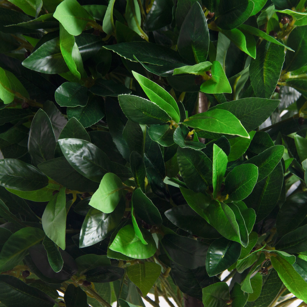 180/ДК/ШТ/188(Пр)(F) Лавр искусственный конус h180см (латекс)_6