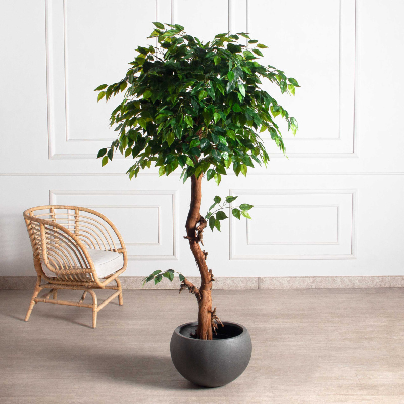 180/ОС/34(F) Фикус искусственный h180см (латекс)_1