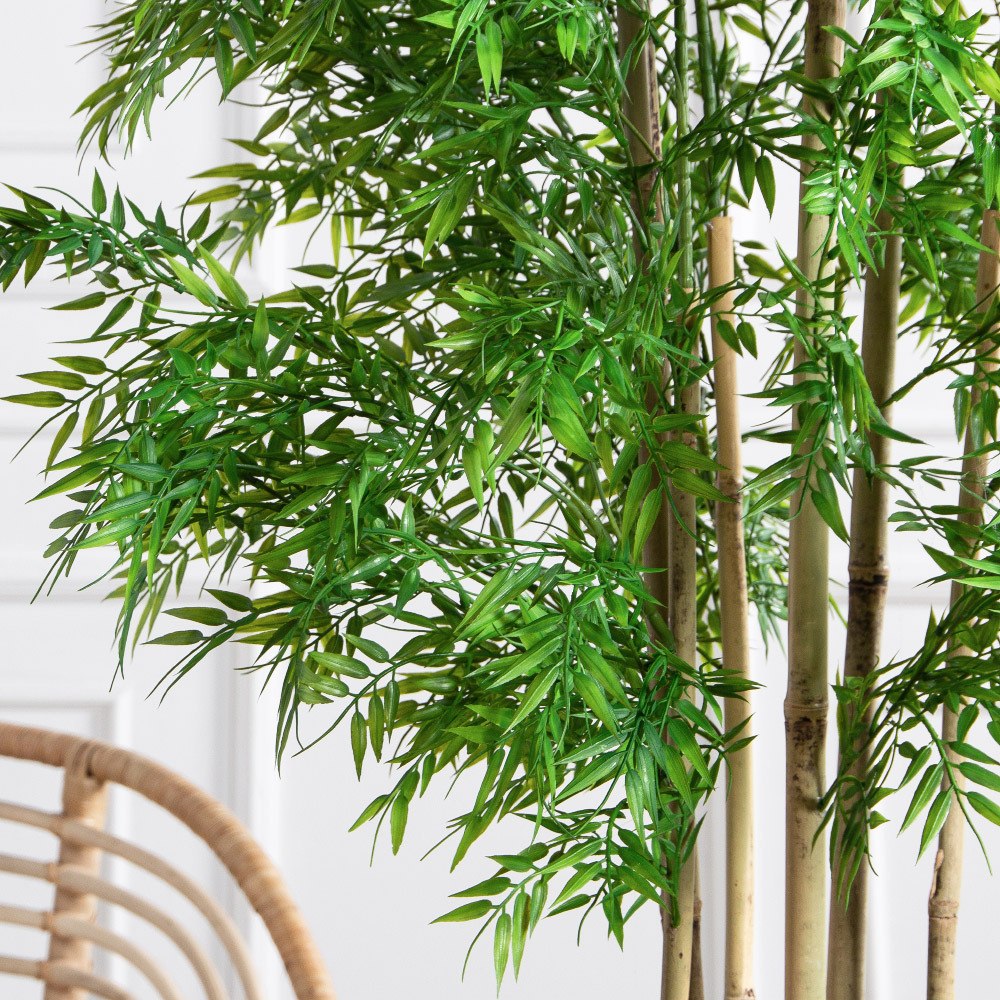 180/620(FixS)(Пр)(F) Бамбук искусственный узколистный 6 стволов, h180см_5