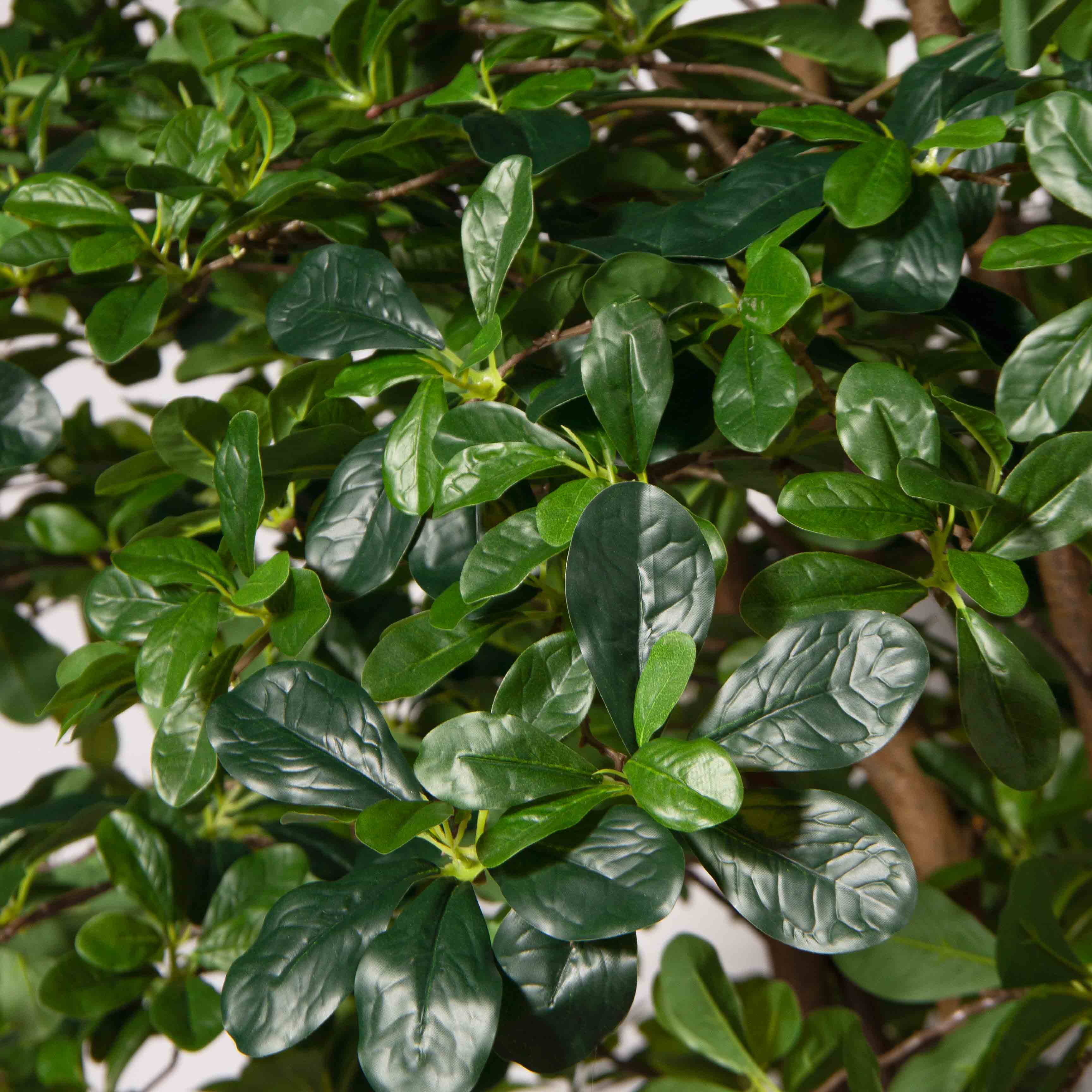 320/РН/84-7(з)(F) Шеффлера искусственная h320см d190см, латекс_3