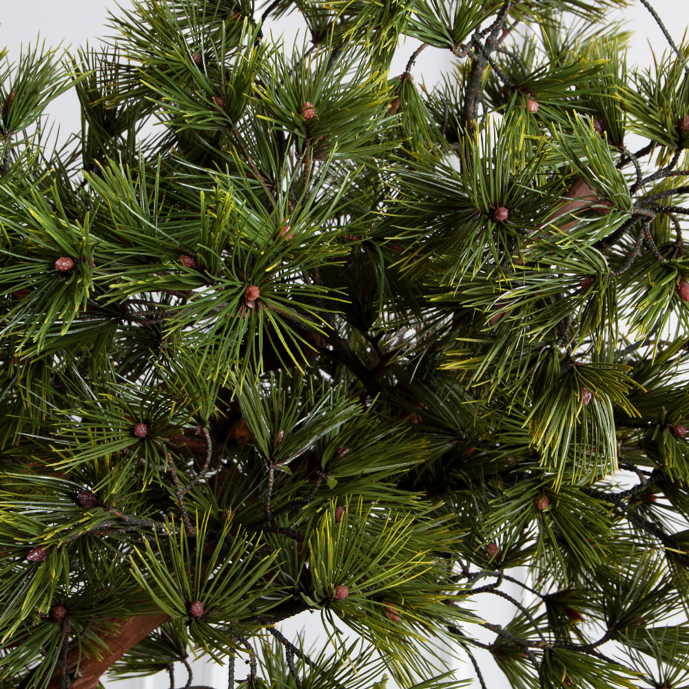 БС185/ОС/30-1(з)(F) Бонсай искусственный Сосна h185см_4