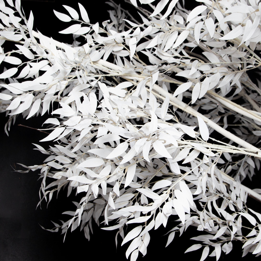 310Гбст/разб/РН/652(F) Ива интерьерная зимняя h310см d290,белая_3