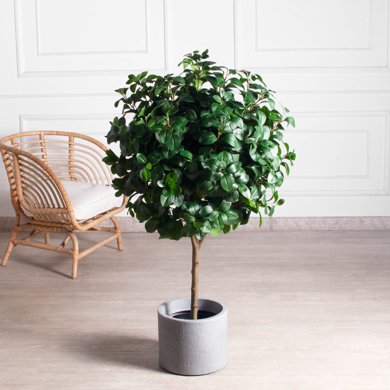 120/Ш/208(з)(F) Рускус искусственный h120, d80см (латекс)_1