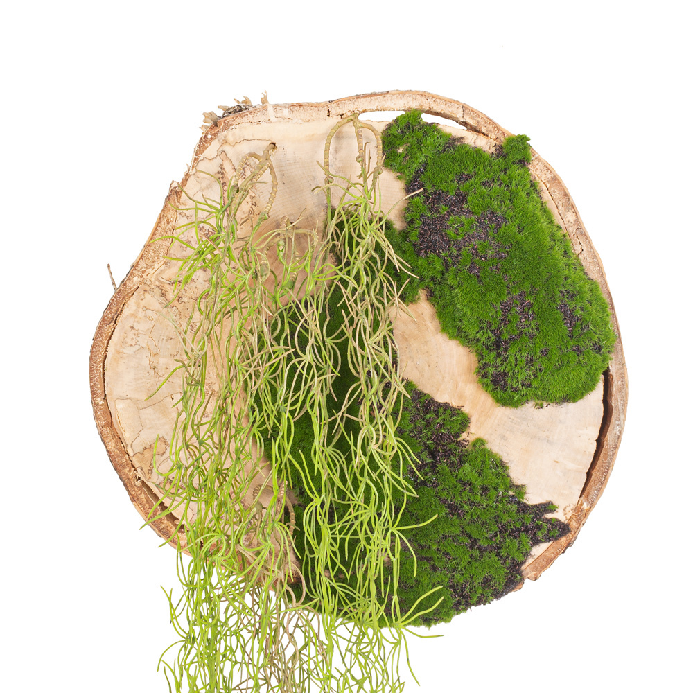 БК140/5 Композиция на березовом спиле d30-40см_3