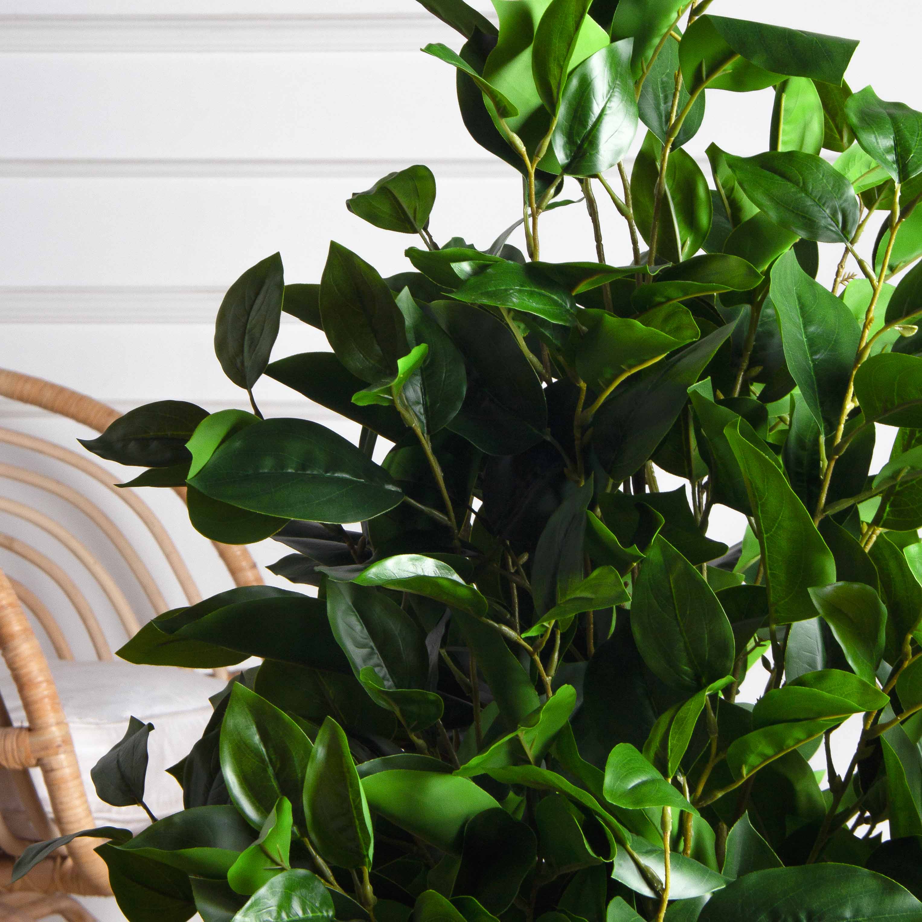 100/РН/504-1(з)(F) Фикус искусственный h100см, латекс_4