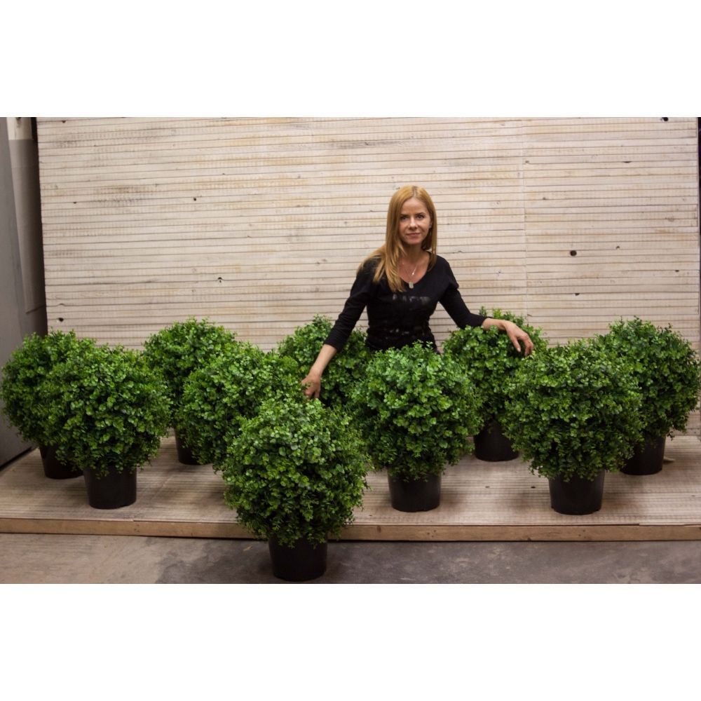 СШ45/228-5 Самшит-шар эвкалиптовый 