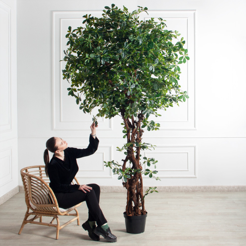 260/ОС/84(з)(F) Шеффлера искусственная h260см d130см (латекс)_1