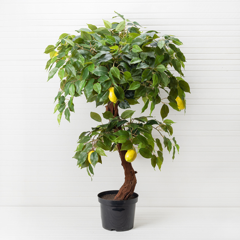 БП 100/Я2/20М Бонсай плод. Лимон (2 ярусн.) (латекс)