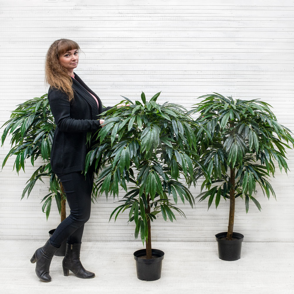 120/РН/229(з)(Пр)(F) Лонгифолия искусственная h120см_5