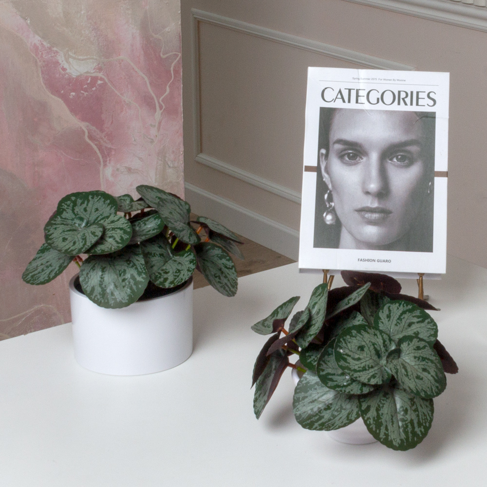 ЦС208-1(F) Пеперомия искусственная полосатая, зелено-бордовая_1