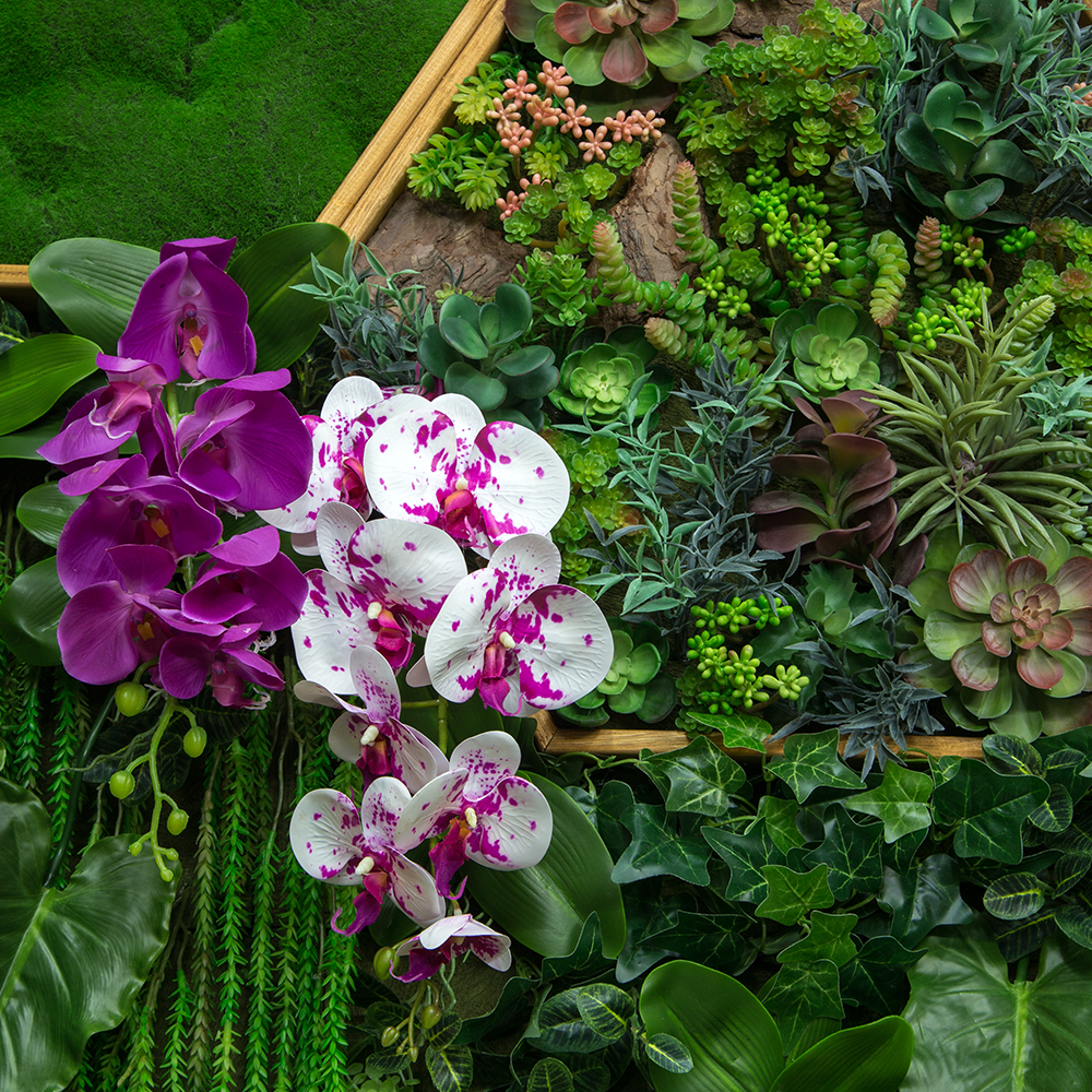 Фитостена 101-1 _2