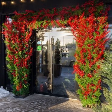 Moremi | Санкт-Петербург