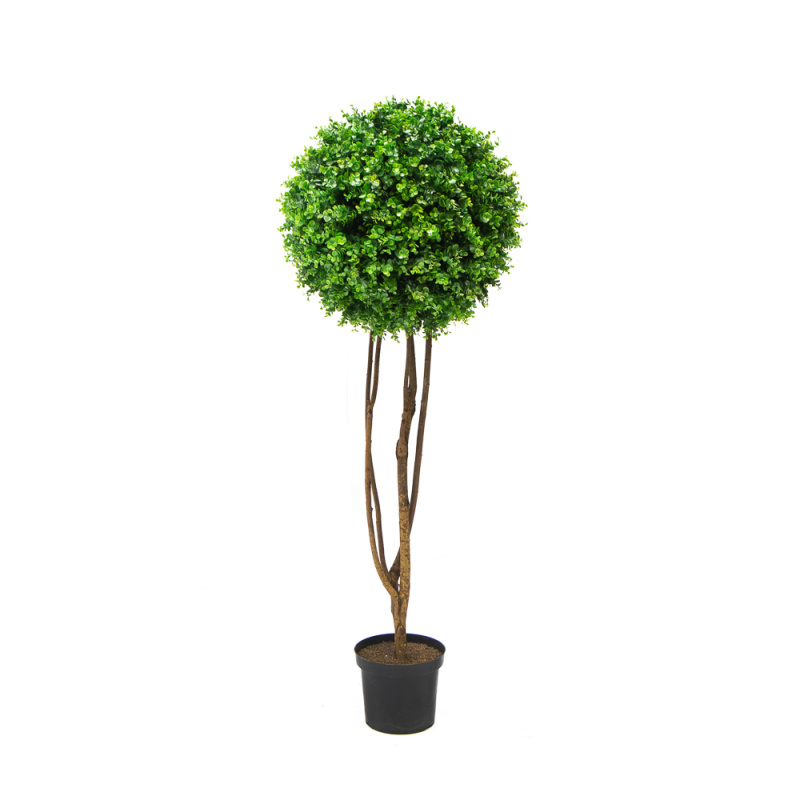 СШ170/228 Самшит-шар эвкалиптовый