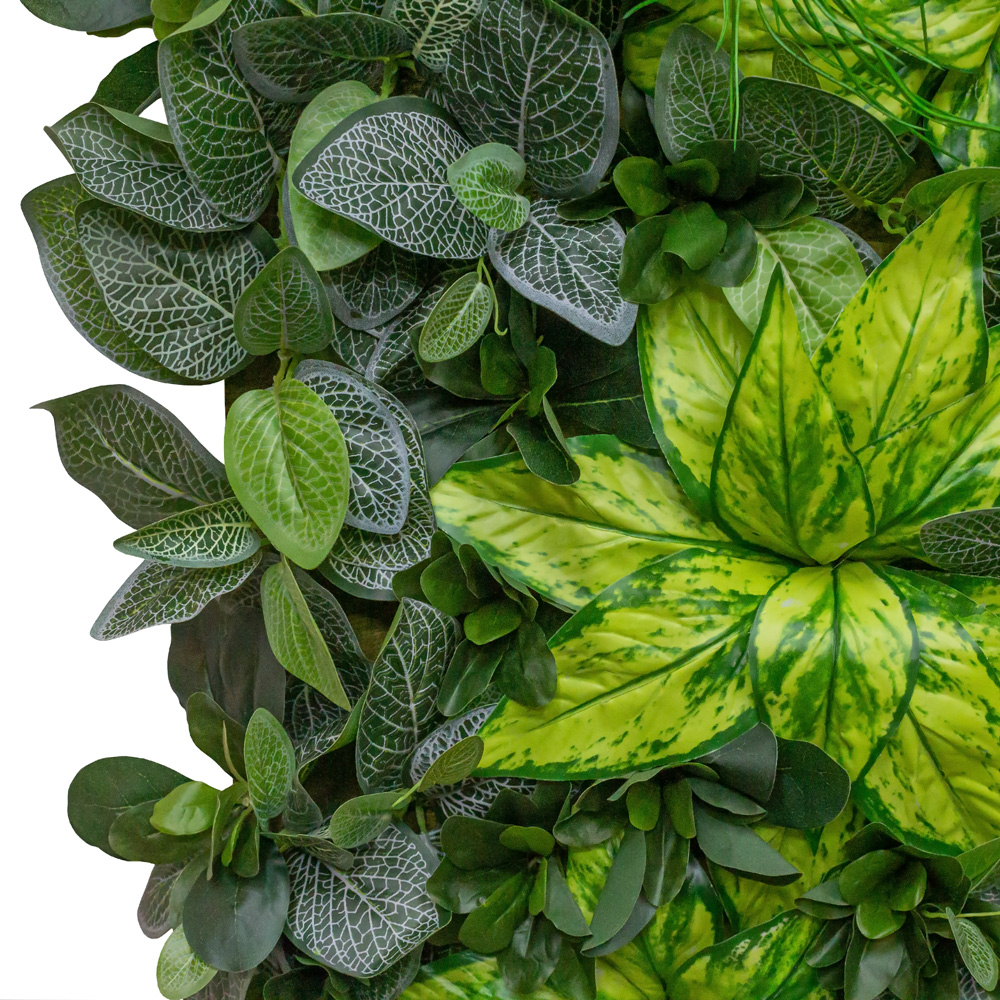 Фитостена 61_6