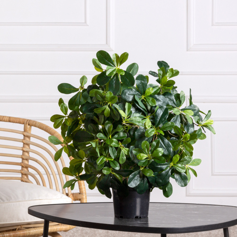 055/К/84(з) Шеффлера искусственная h55см _3